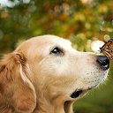 ���� �������, �������, 47 ��� - ��������� 21 ������� 2015 � ������ ���� ����������