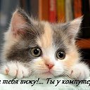 ���� �����, �����-���������, 56 ��� - ��������� 7 ������� 2015