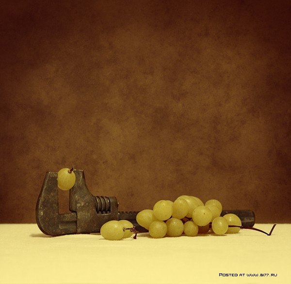 Still Life... George Rustchev - 11