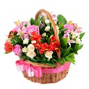 ���� Svetlana, ���������� �����, 49 ��� - ��������� 15 ������� 2016 � ������ ���� ����������