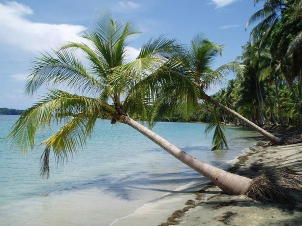 ��������� �����-����-����, ������ - 4