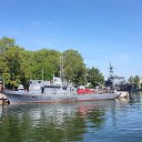 ���� �������, ��������, 39 ��� - ��������� 8 ������� 2016 � ������ ���� ����������