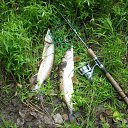 ���� ����, �������������, 58 ��� - ��������� 2 ������ 2016 � ������ ���� ����������