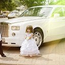 ���� ������, ������� - ��������� 7 ������� 2016 � ������ ���� ����������