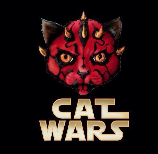 Cat wars - 8