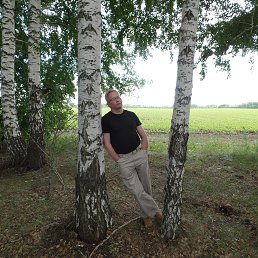 ���� ������, ������ - ��������� 31 ������� 2015