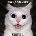 ���� ������, ����� - ��������� 16 ������ 2015 � ������ ������ ��������