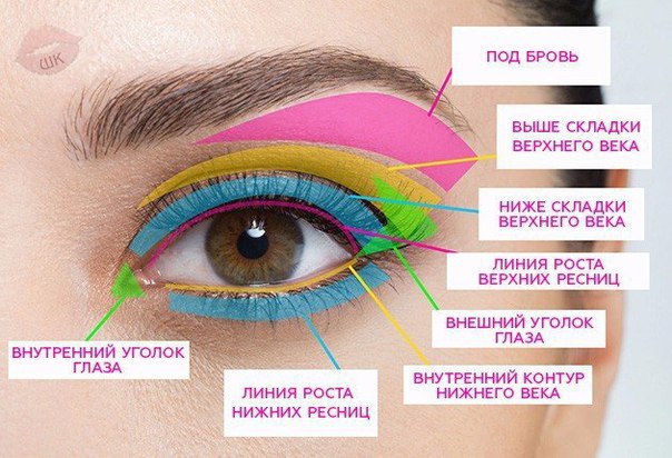 Самый лучший гид по макияжу.Не забудь сохранить себе. Под бровь:На выделенный цветом участок ты ...