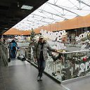 ���� Lev, ������ - ��������� 19 ������� 2015 � ������ ���� ����������