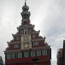 ���� �������, ������, 48 ��� - ��������� 29 ������ 2016 � ������ ���� ����������