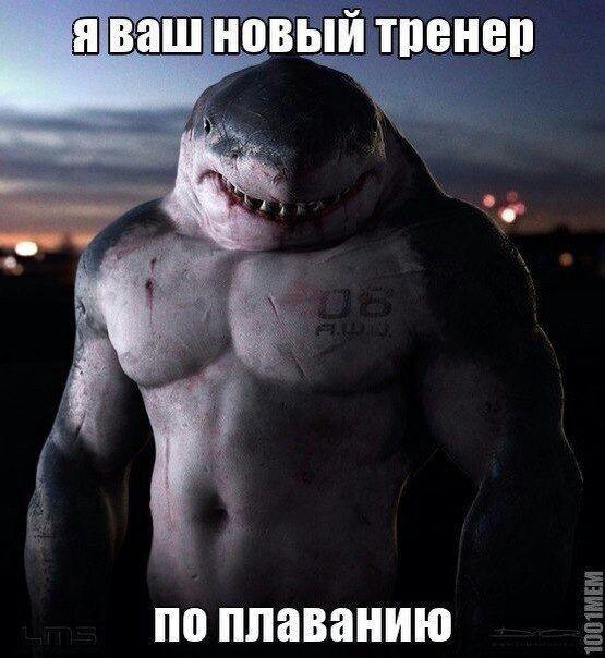 ☆   ☆ - 5  2016  20:42