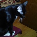 ���� ������, �����������, 55 ��� - ��������� 4 ������� 2015 � ������ ������ ��������