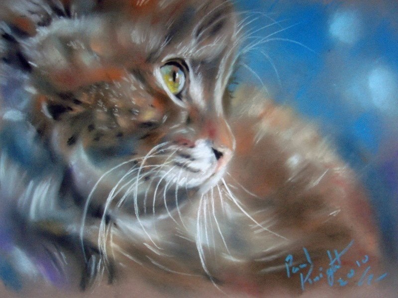 Очаровательные коты английского художника Paul Knight - 4