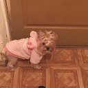 ���� �������, ������, 50 ��� - ��������� 14 ������� 2016 � ������ ���� ����������