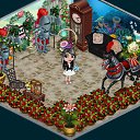  , , 29  -  21  2016   Tropikania