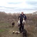 ���� ����, �������, 71 ��� - ��������� 4 ������� 2016