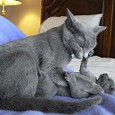 ���� �����, ������ - ��������� 9 ������� 2016 � ������ ������ ��������