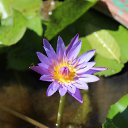 ���� ������, ����, 58 ��� - ��������� 20 ������ 2016 � ������ ������ �� �������