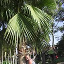 ���� �������� ������������, ������������, 60 ��� - ��������� 29 ������� 2015 � ������ ���� ����������