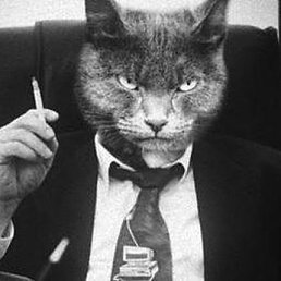 ���., ����