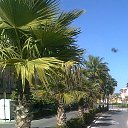  Vidmantas, , 52  -  15  2016    