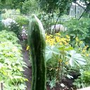 ���� �����, ���������, 59 ��� - ��������� 5 ������� 2015 � ������ ���