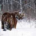 ���� ���������, ������, 47 ��� - ��������� 27 ������� 2015 � ������ ���� ����������