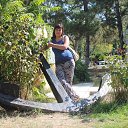 ���� �����, �������, 43 ���� - ��������� 15 ������� 2015 � ������ ���� ����������