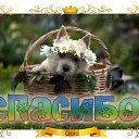 ���� �����, ������� - ��������� 16 ������� 2016 � ������ �������� ��������