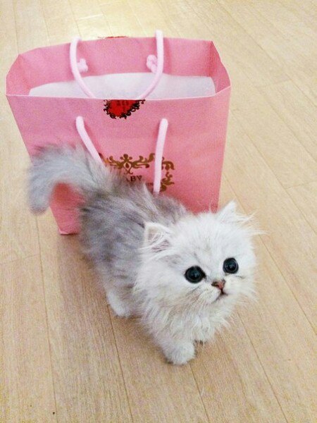 Когда мама забыла купить то, что ты попросил - 2