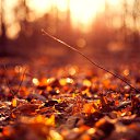 ���� �������, ����� - ��������� 28 ������� 2015 � ������ ���� ����������