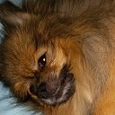 ���� �������, �����-���������, 56 ��� - ��������� 26 ������ 2016 � ������ ������ ��������