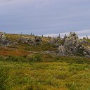 ���� ���������, ���� - ��������� 29 ������ 2015 � ������ ������ ��������