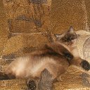 ���� �����, �������, 46 ��� - ��������� 8 ����� 2016 � ������ ���� ����������