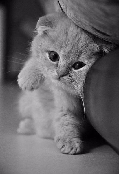 ��� ���� � ����� �� �� - 5 ������ 2016 � 11:32 - 3