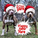 ���� �������, ������, 44 ���� - ��������� 10 ������� 2015 � ������ ������ ��������