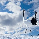 ���� �������, ������� - ��������� 9 ������ 2015 � ������ ����