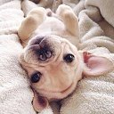 ���� �����, ���������, 59 ��� - ��������� 6 ������ 2015 � ������ ���