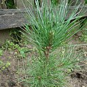 ����. ��������! �� ������� ���� ����������