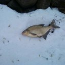 ���� ������, ������, 59 ��� - ��������� 14 ������ 2016