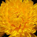 ���� Aleksey, ���������, 44 ���� - ��������� 17 ������ 2015 � ������ ������������