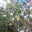 ���� �����, ������������, 56 ��� - ��������� 6 ������ 2015 � ������ ������ ��������