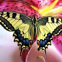  ,  -  18  2016     Ȼ