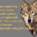 ���� �����, ���������, 44 ���� - ��������� 23 ������ 2016 � ������ ������