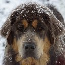 �����������) �� ������� �������� �����)�