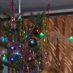 ���� �������, �����������, 43 ���� - ��������� 21 ������ 2016