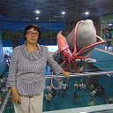 � �����������