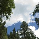 ���� �����, ��������, 65 ��� - ��������� 28 ������� 2016