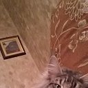6 ������� �� ������� ������ ������