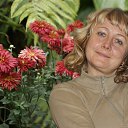 21.11.2015 �� ������� ���� ����������